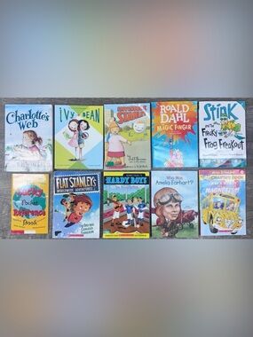 10 Children's Chapter Book Lot-Charlotte's Web, Roald Dahl, Flat Stanley, & more